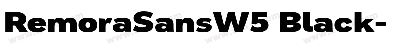 RemoraSansW5 Black字体转换
